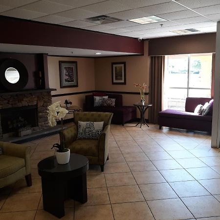 Oyo Hotel Phenix City Central Dış mekan fotoğraf